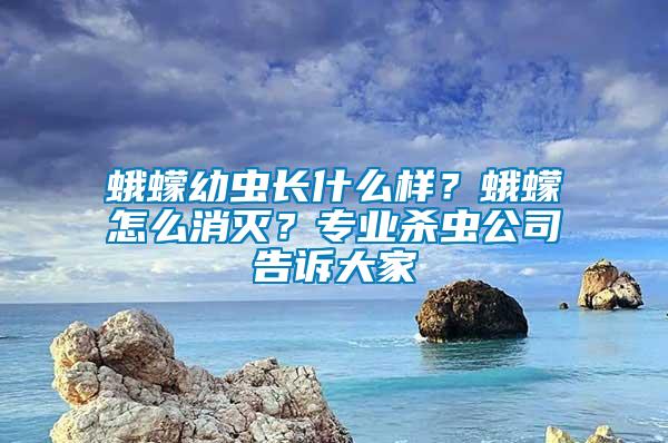 蛾蠓幼蟲長(zhǎng)什么樣？蛾蠓怎么消滅？專業(yè)殺蟲公司告訴大家