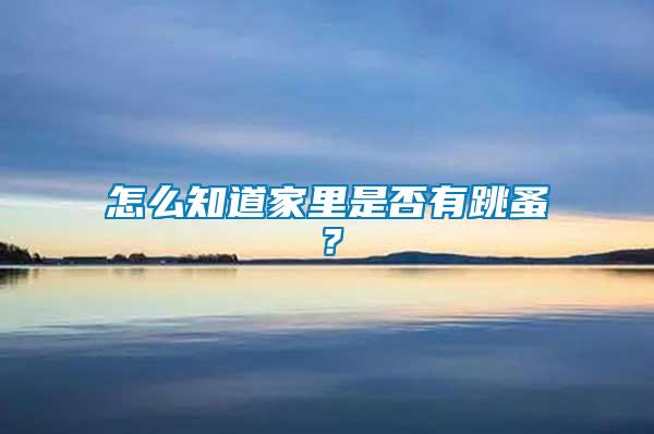 怎么知道家里是否有跳蚤？