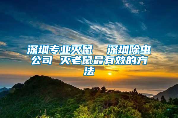 深圳專業(yè)滅鼠  深圳除蟲公司 滅老鼠最有效的方法