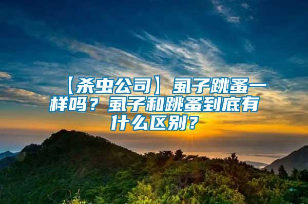 【殺蟲公司】虱子跳蚤一樣嗎？虱子和跳蚤到底有什么區(qū)別？