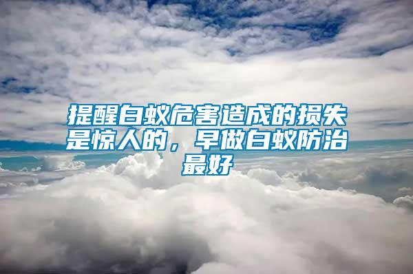 提醒白蟻危害造成的損失是驚人的，早做白蟻防治最好