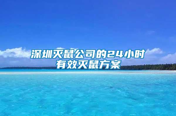 深圳滅鼠公司的24小時(shí)有效滅鼠方案