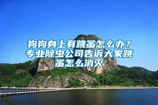 狗狗身上有跳蚤怎么辦？專業(yè)除蟲(chóng)公司告訴大家跳蚤怎么消滅