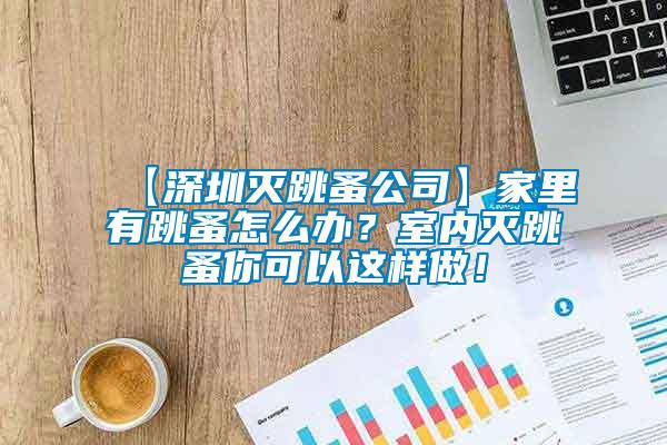 【深圳滅跳蚤公司】家里有跳蚤怎么辦？室內(nèi)滅跳蚤你可以這樣做！