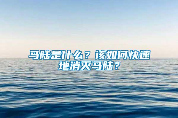 馬陸是什么？該如何快速地消滅馬陸？