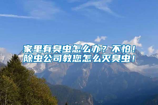 家里有臭蟲怎么辦？不怕！除蟲公司教您怎么滅臭蟲！