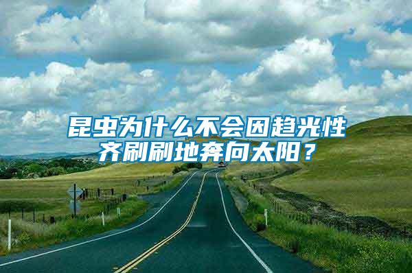 昆蟲為什么不會因趨光性齊刷刷地奔向太陽？