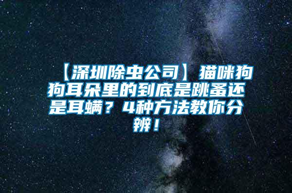 【深圳除蟲公司】貓咪狗狗耳朵里的到底是跳蚤還是耳螨？4種方法教你分辨！