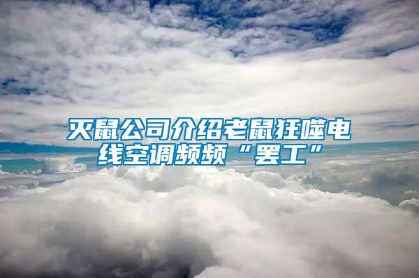 滅鼠公司介紹老鼠狂噬電線空調(diào)頻頻“罷工”