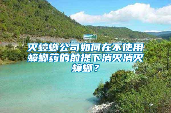 滅蟑螂公司如何在不使用蟑螂藥的前提下消滅消滅蟑螂？