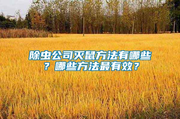 除蟲公司滅鼠方法有哪些？哪些方法最有效？