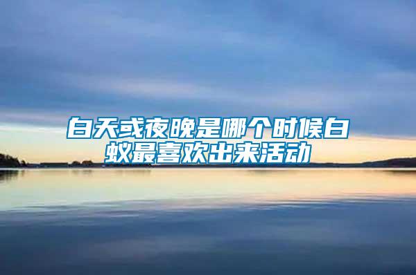 白天或夜晚是哪個(gè)時(shí)候白蟻?zhàn)钕矚g出來活動(dòng)