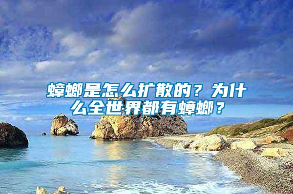 蟑螂是怎么擴散的？為什么全世界都有蟑螂？