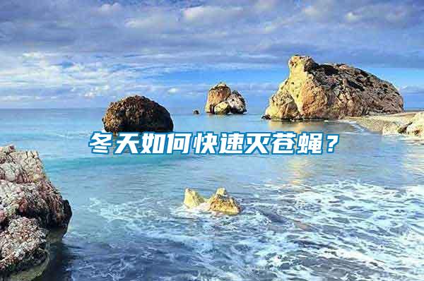 冬天如何快速滅蒼蠅？