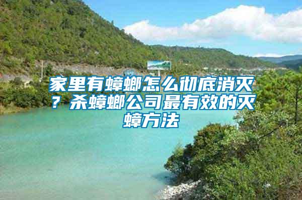 家里有蟑螂怎么徹底消滅？殺蟑螂公司最有效的滅蟑方法