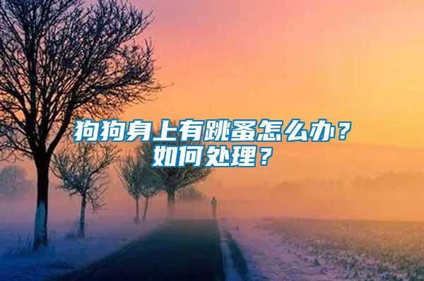 狗狗身上有跳蚤怎么辦？如何處理？