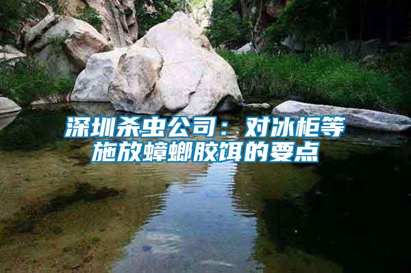 深圳殺蟲公司：對冰柜等施放蟑螂膠餌的要點(diǎn)