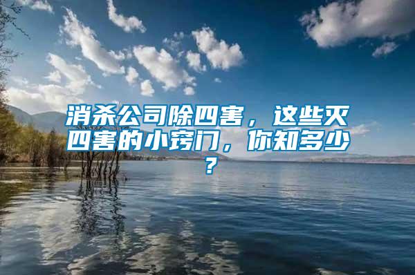 消殺公司除四害，這些滅四害的小竅門，你知多少？