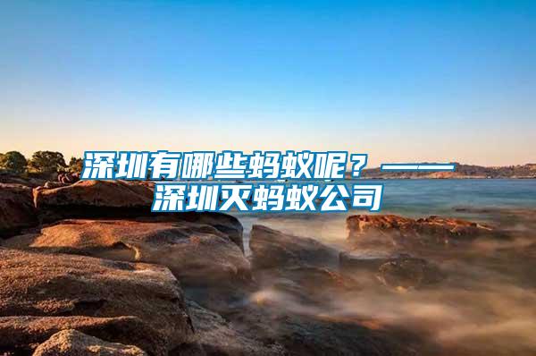 深圳有哪些螞蟻呢？——深圳滅螞蟻公司