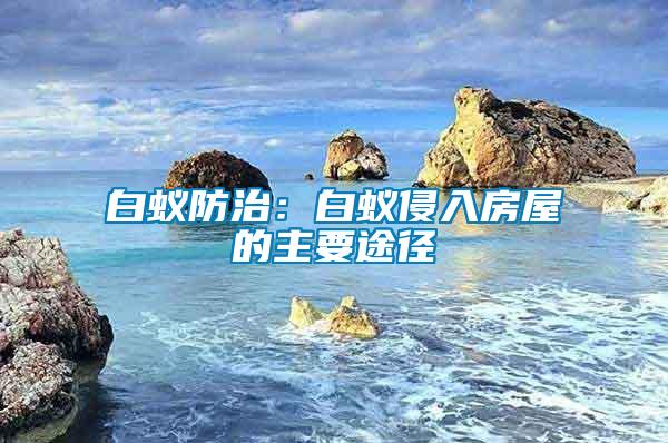 白蟻防治：白蟻侵入房屋的主要途徑