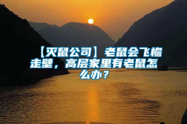 【滅鼠公司】老鼠會(huì)飛檐走壁，高層家里有老鼠怎么辦？