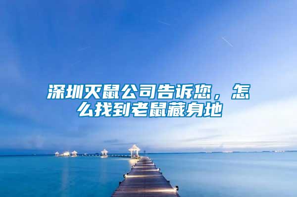 深圳滅鼠公司告訴您，怎么找到老鼠藏身地