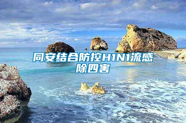 同安結(jié)合防控H1N1流感除四害