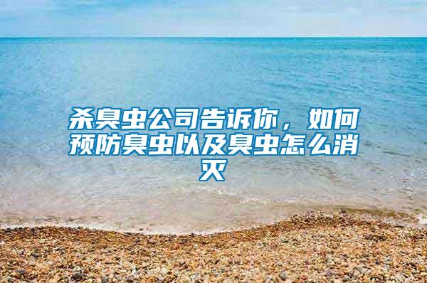 殺臭蟲公司告訴你，如何預(yù)防臭蟲以及臭蟲怎么消滅