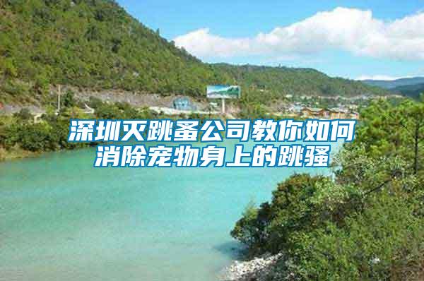 深圳滅跳蚤公司教你如何消除寵物身上的跳騷