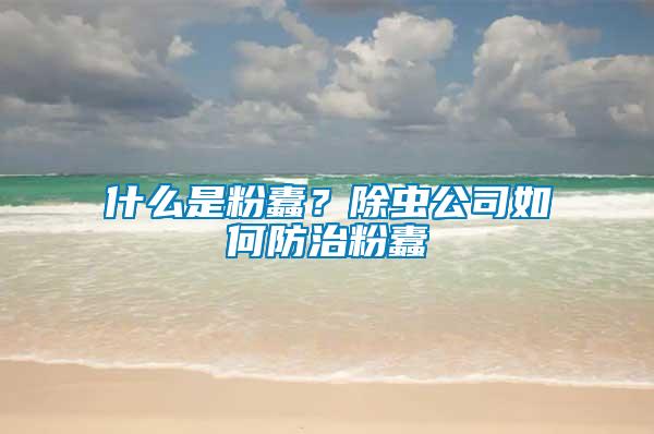 什么是粉蠹？除蟲公司如何防治粉蠹