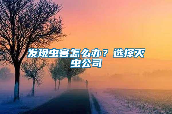 發(fā)現蟲害怎么辦？選擇滅蟲公司