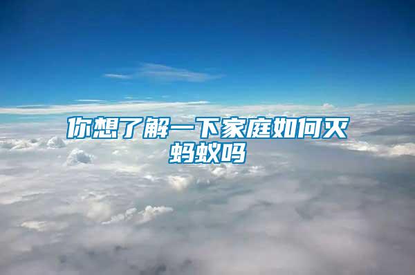 你想了解一下家庭如何滅螞蟻嗎