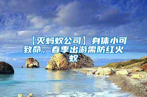 【滅螞蟻公司】身體小可致命，春季出游需防紅火蟻