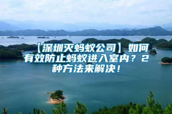 【深圳滅螞蟻公司】如何有效防止螞蟻進入室內？2種方法來解決！