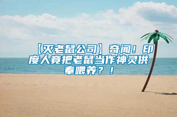 【滅老鼠公司】奇聞！印度人竟把老鼠當作神靈供奉喂養(yǎng)？！