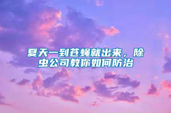 夏天一到蒼蠅就出來，除蟲公司教你如何防治