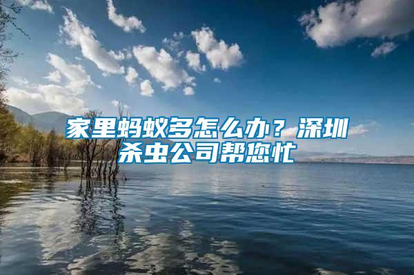 家里螞蟻多怎么辦？深圳殺蟲公司幫您忙