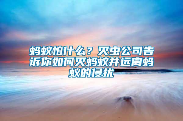 螞蟻怕什么？滅蟲公司告訴你如何滅螞蟻并遠(yuǎn)離螞蟻的侵?jǐn)_