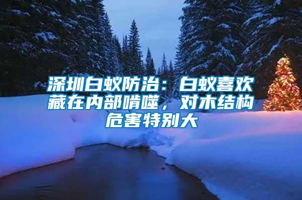 深圳白蟻防治：白蟻喜歡藏在內(nèi)部啃噬，對(duì)木結(jié)構(gòu)危害特別大