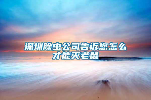 深圳除蟲(chóng)公司告訴您怎么才能滅老鼠