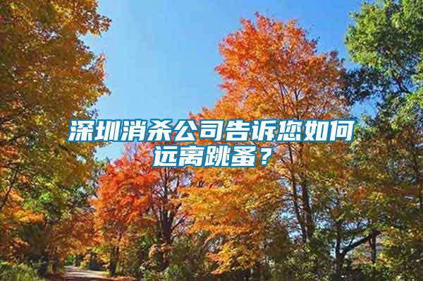 深圳消殺公司告訴您如何遠(yuǎn)離跳蚤？