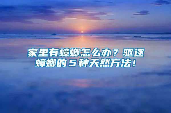 家里有蟑螂怎么辦？驅逐蟑螂的５種天然方法！