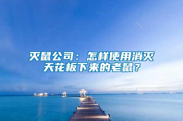 滅鼠公司：怎樣使用消滅天花板下來的老鼠？