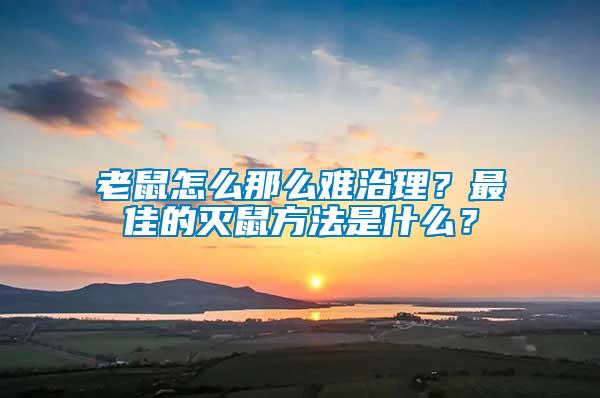 老鼠怎么那么難治理？最佳的滅鼠方法是什么？