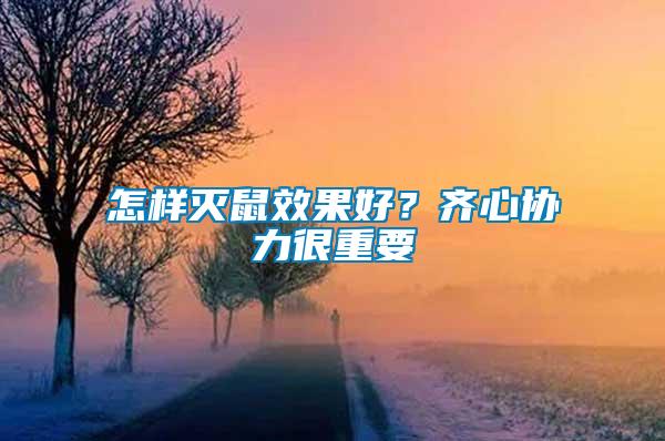 怎樣滅鼠效果好？齊心協(xié)力很重要