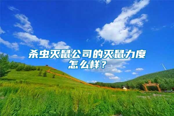 殺蟲滅鼠公司的滅鼠力度怎么樣？