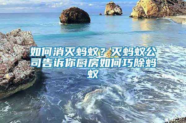 如何消滅螞蟻？滅螞蟻公司告訴你廚房如何巧除螞蟻