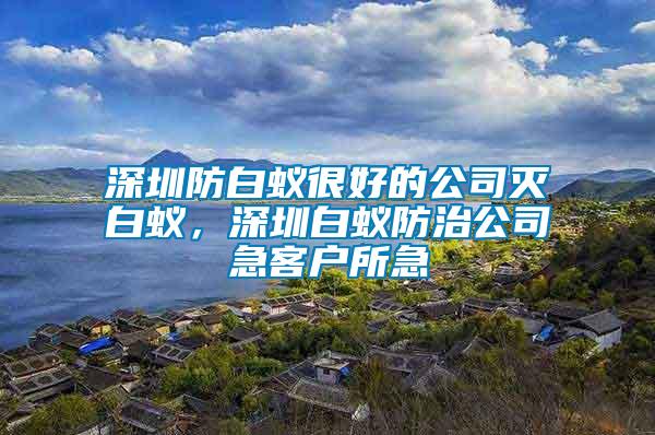 深圳防白蟻很好的公司滅白蟻，深圳白蟻防治公司急客戶所急