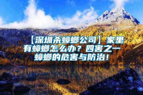 【深圳殺蟑螂公司】家里有蟑螂怎么辦？四害之一蟑螂的危害與防治！