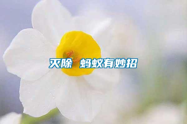 滅除 螞蟻有妙招